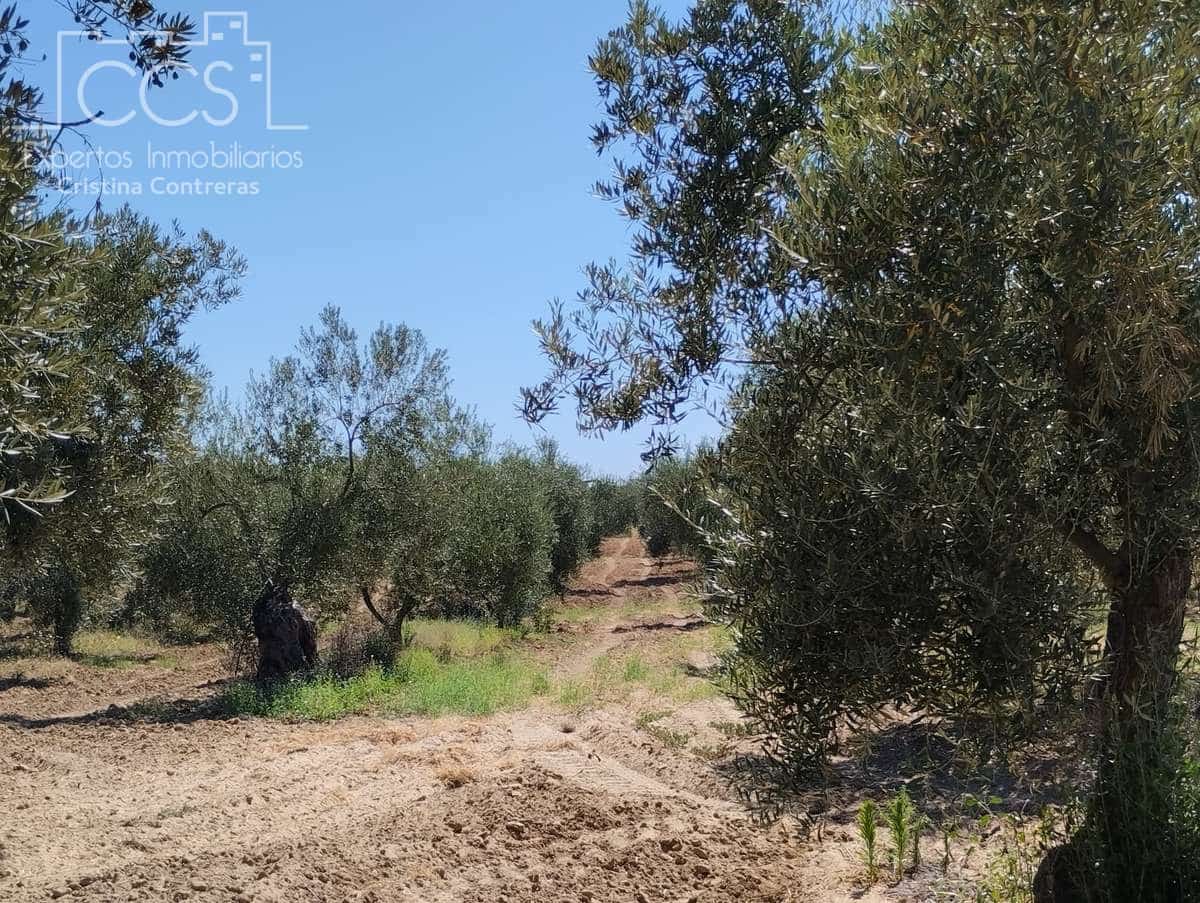 Byggetomt til salgs i Almonte - € 300 000 (Ref: 7749186)