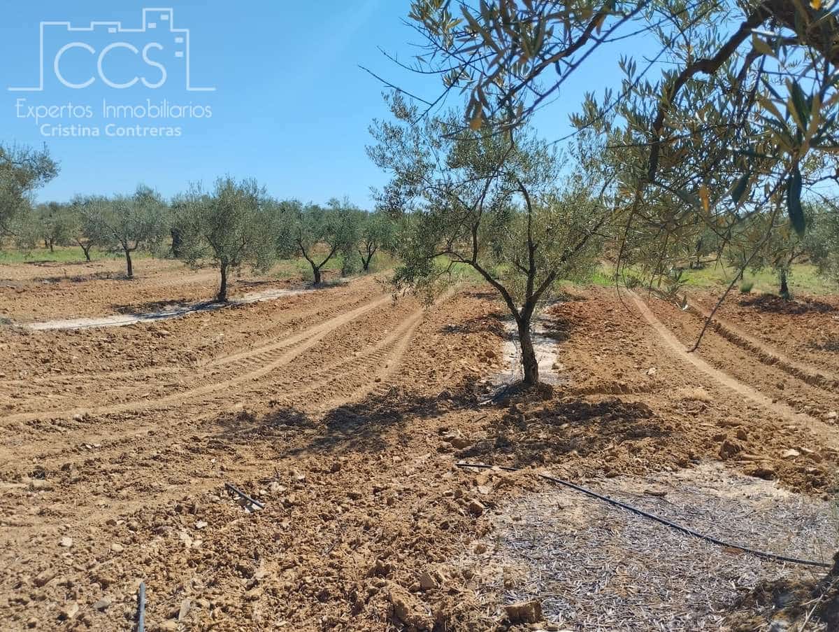 Byggetomt til salgs i Almonte - € 300 000 (Ref: 7749186)