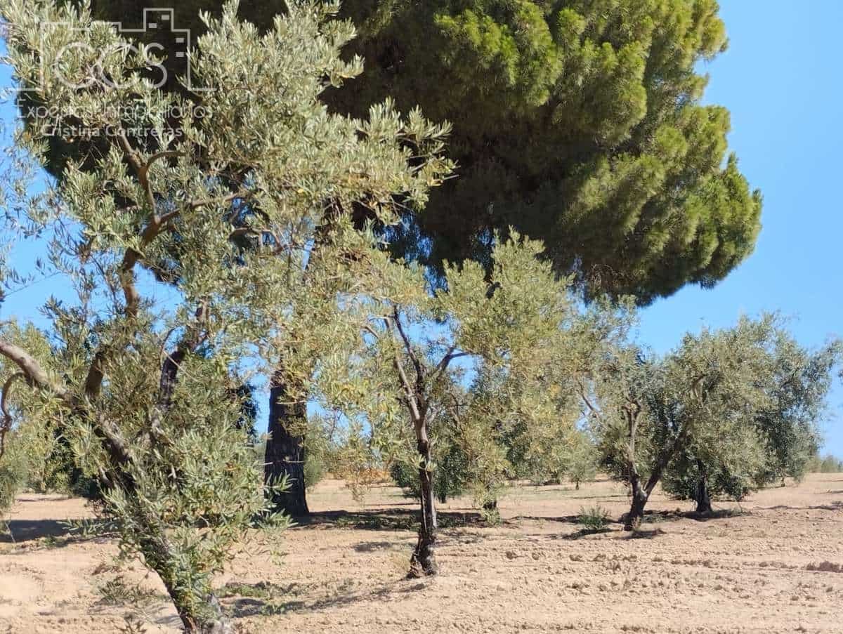 Byggetomt til salgs i Almonte - € 300 000 (Ref: 7749186)