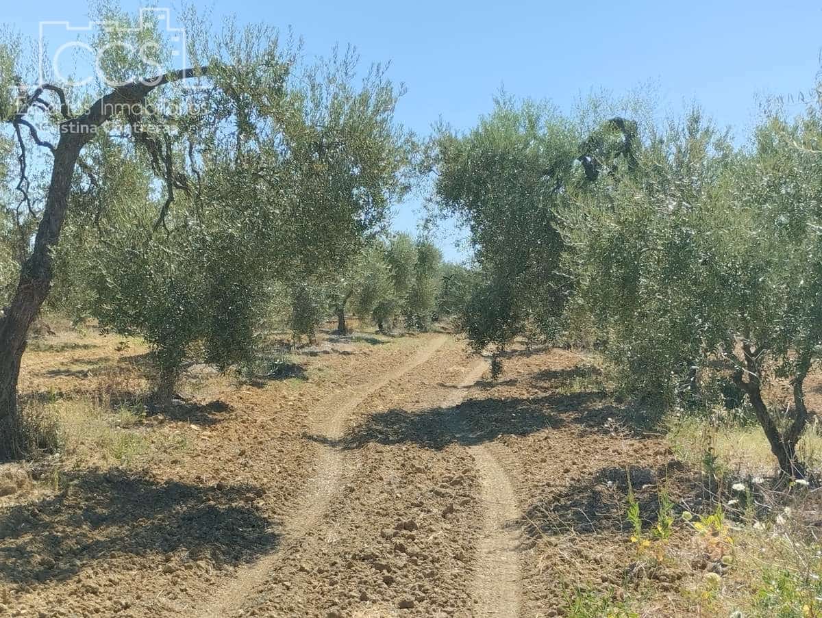 Byggetomt til salgs i Almonte - € 300 000 (Ref: 7749186)