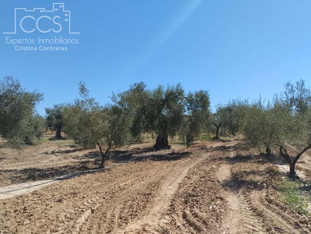 Bouwgrond te koop in Almonte - € 300.000 (Ref: 7749186)
