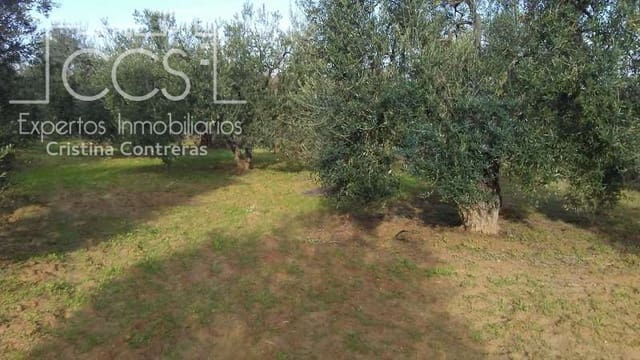 Działka budowlana na sprzedaż w Almonte - 31 000 € (Ref: 7758980)