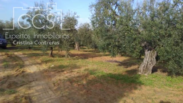 Area Edificabile in vendita in Almonte - 31.000 € (Rif: 7758980)