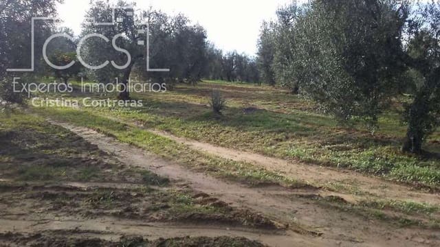 Area Edificabile in vendita in Almonte - 31.000 € (Rif: 7758980)