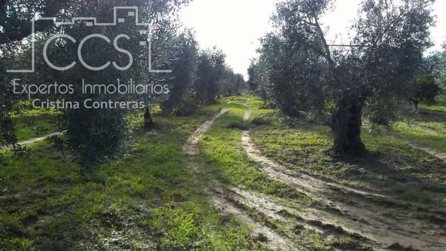 Area Edificabile in vendita in Almonte - 31.000 € (Rif: 7758980)