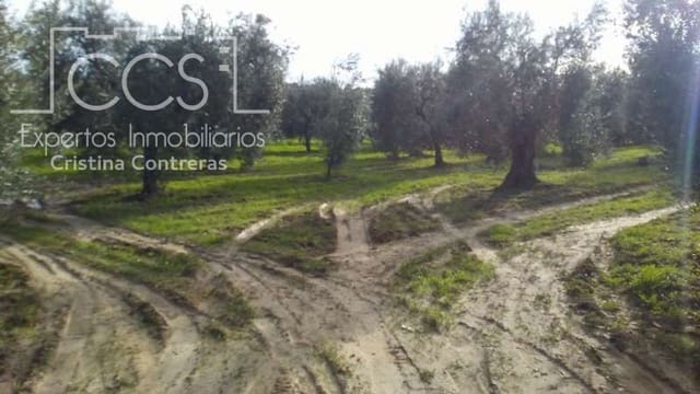 Area Edificabile in vendita in Almonte - 31.000 € (Rif: 7758980)