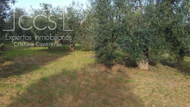 Area Edificabile in vendita in Almonte - 31.000 € (Rif: 7758980)
