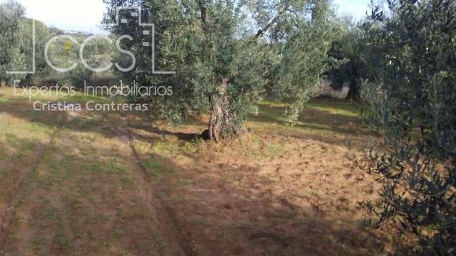 Area Edificabile in vendita in Almonte - 31.000 € (Rif: 7758980)