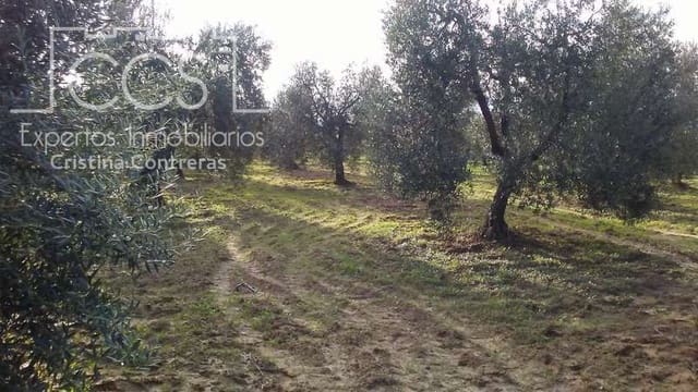 Area Edificabile in vendita in Almonte - 31.000 € (Rif: 7758980)