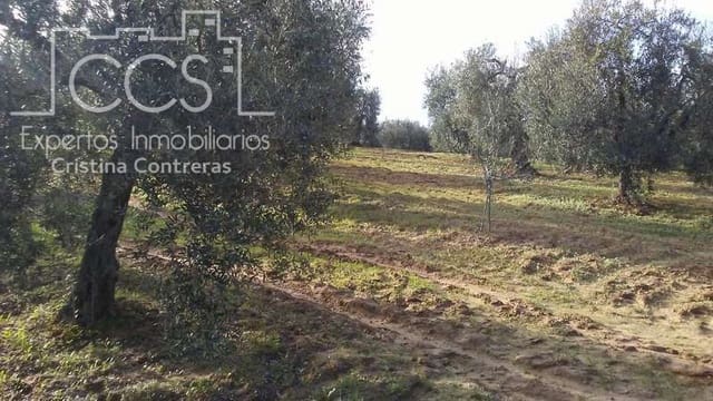 Area Edificabile in vendita in Almonte - 31.000 € (Rif: 7758980)