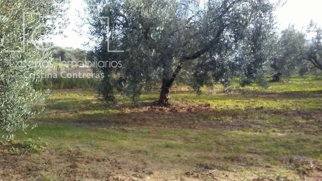 Area Edificabile in vendita in Almonte - 31.000 € (Rif: 7758980)