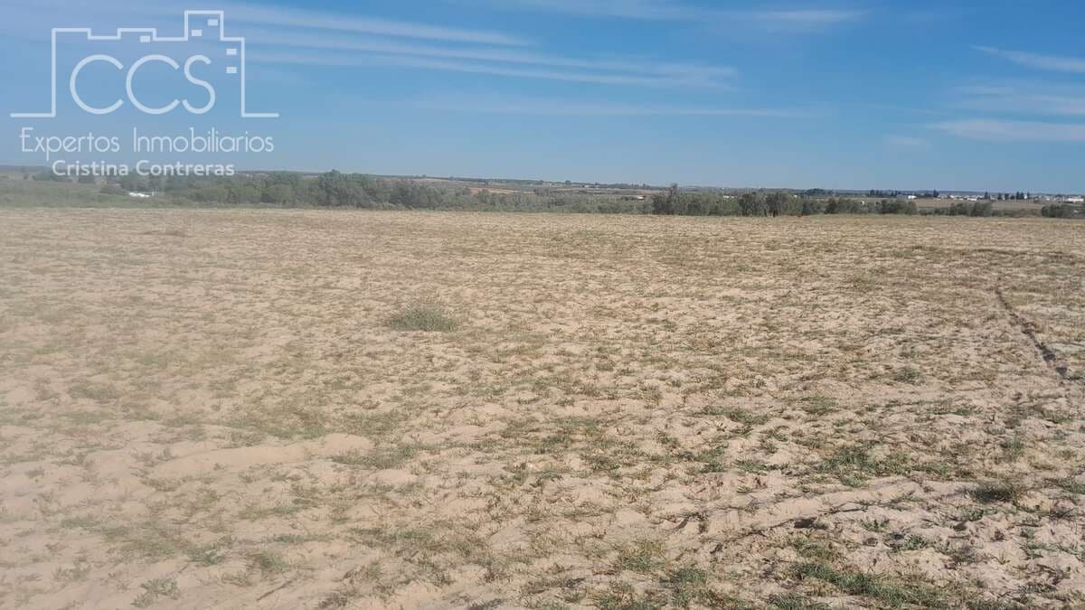 Tontti myytävänä paikassa Almonte - 180 000 € (Ref: 7902490)