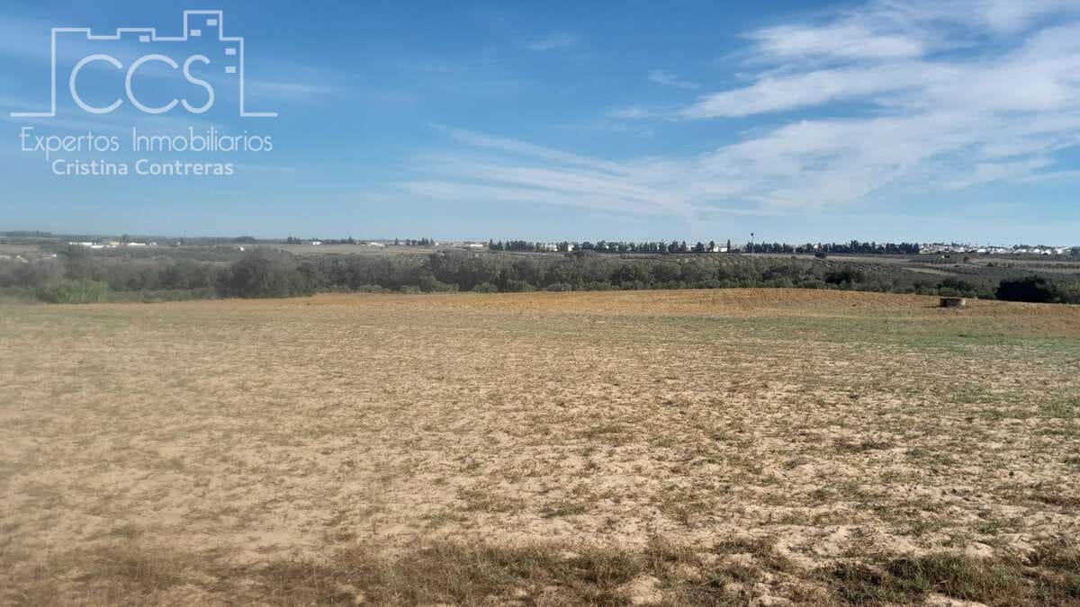 Tontti myytävänä paikassa Almonte - 180 000 € (Ref: 7902490)