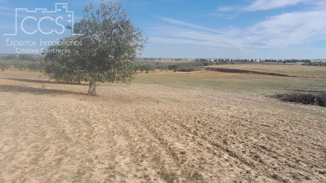 Building Plot for sale in Almonte - € 180,000 (Ref: 7902490)