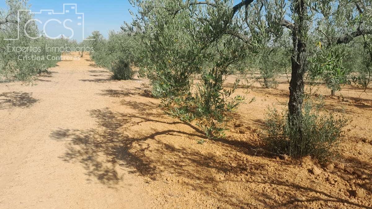 Tontti myytävänä paikassa Almonte - 180 000 € (Ref: 7902490)