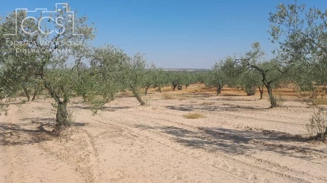 Bauplatz zu verkaufen in Almonte - 26.500 € (Ref: 7902491)