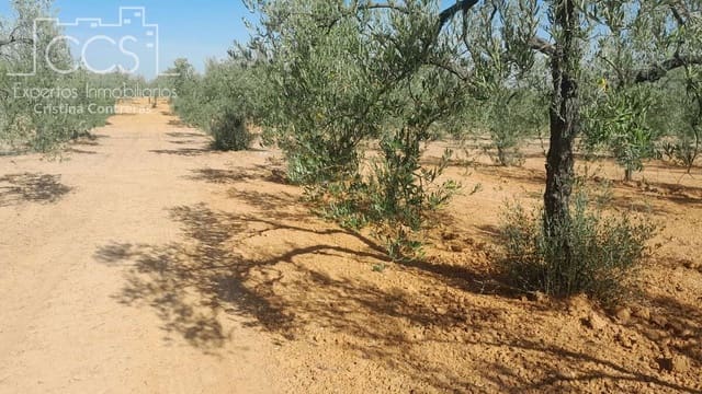 Bauplatz zu verkaufen in Almonte - 26.500 € (Ref: 7902491)