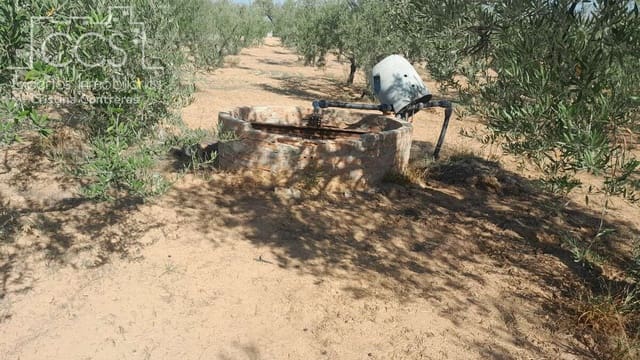 Bauplatz zu verkaufen in Almonte - 26.500 € (Ref: 7902491)