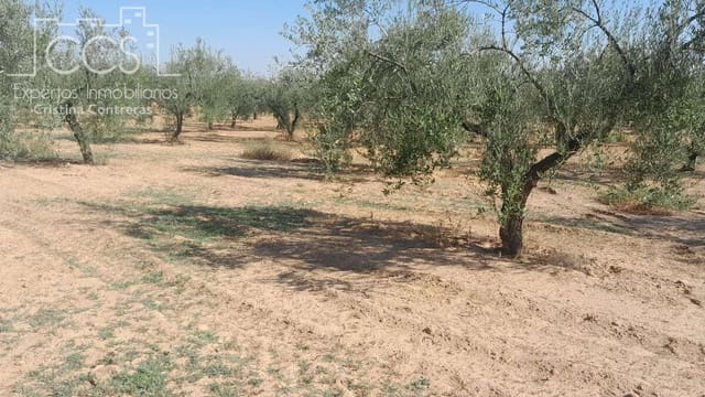 Bauplatz zu verkaufen in Almonte - 26.500 € (Ref: 7902491)