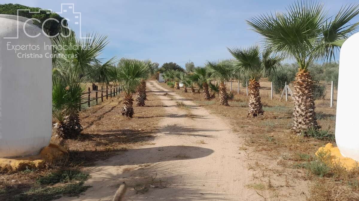 Finca/Country House for sale in Almonte € 109,000 (Ref 8062365)