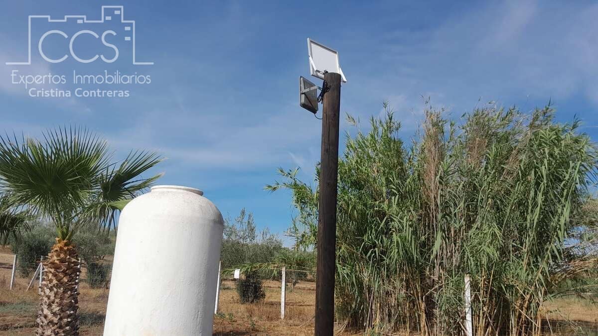 Finca/Herregård til salgs i Almonte - € 110 000 (Ref: 8062365)