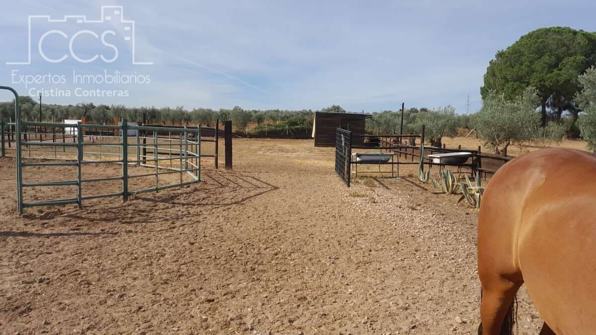 Finca/Herregård til salgs i Almonte - € 110 000 (Ref: 8062365)