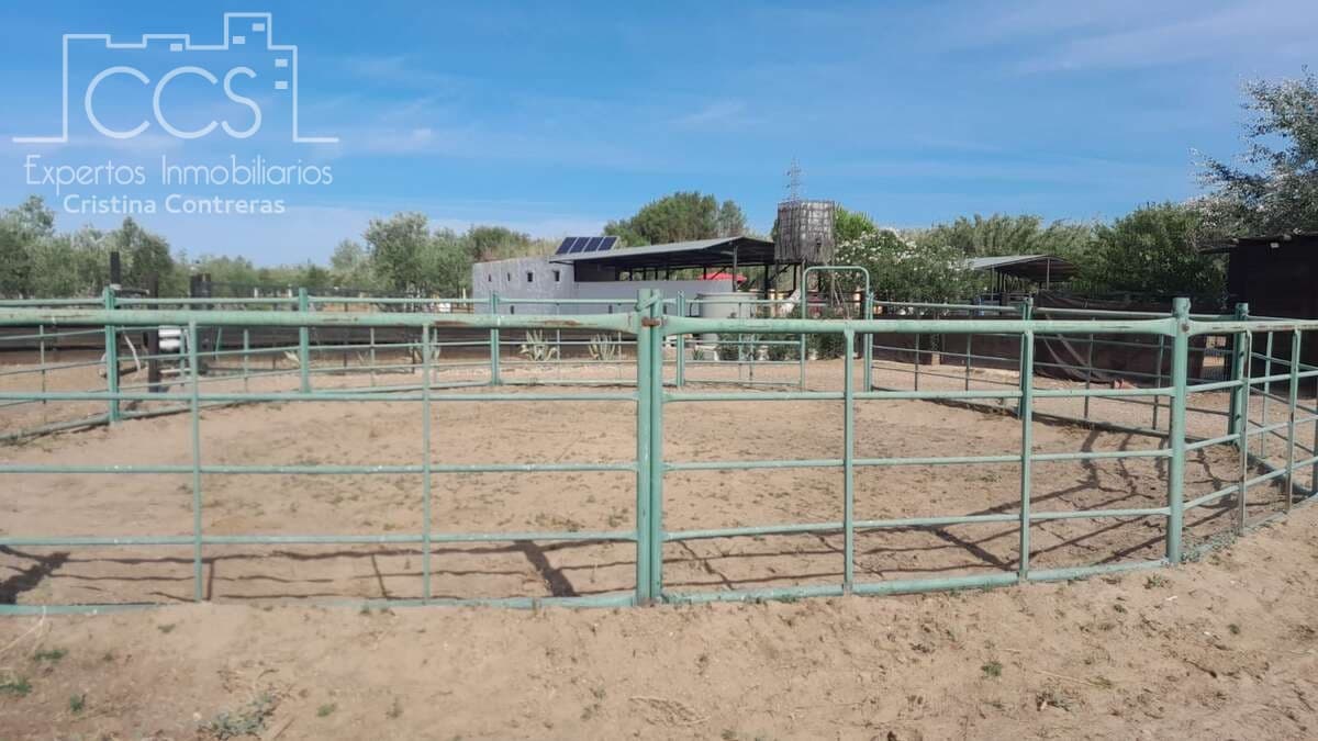 Finca/Herregård til salgs i Almonte - € 110 000 (Ref: 8062365)