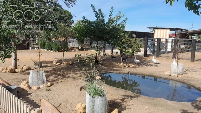 Finca/Herregård til salgs i Almonte - € 110 000 (Ref: 8062365)