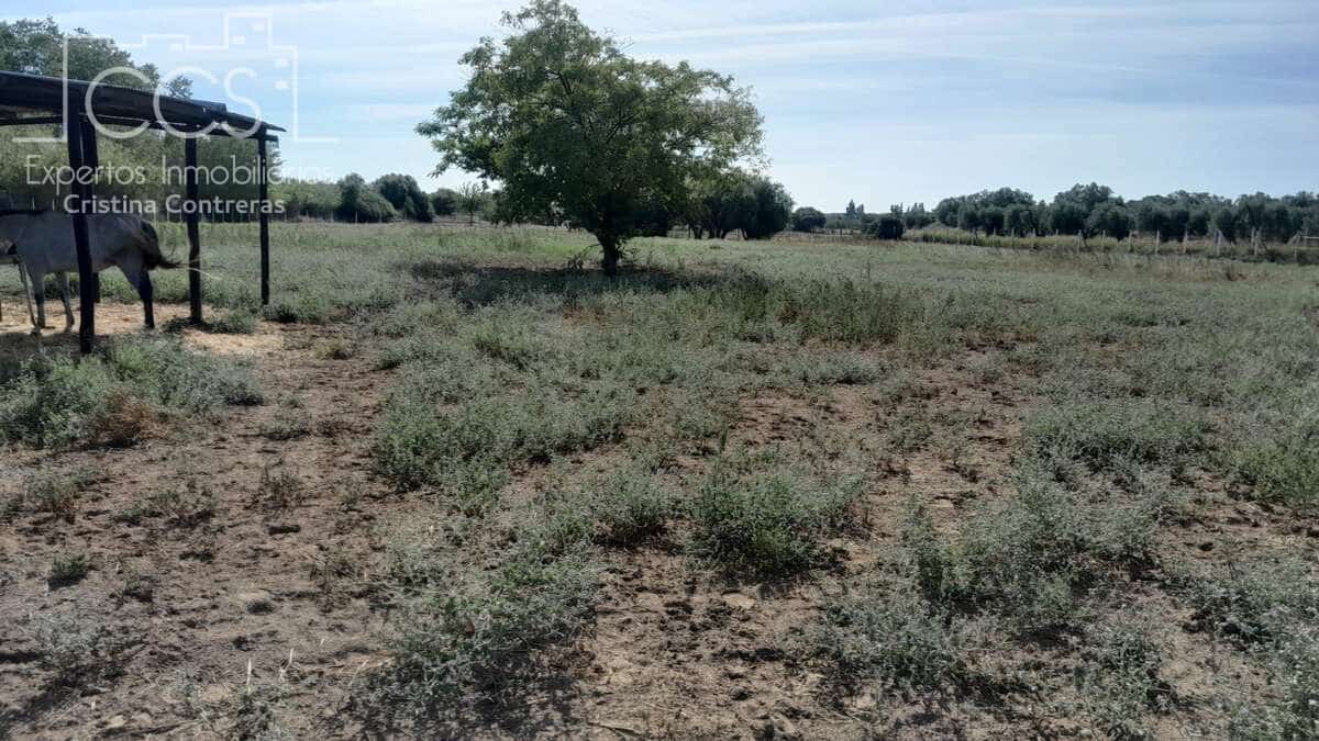 Finca/Herregård til salgs i Almonte - € 110 000 (Ref: 8062365)