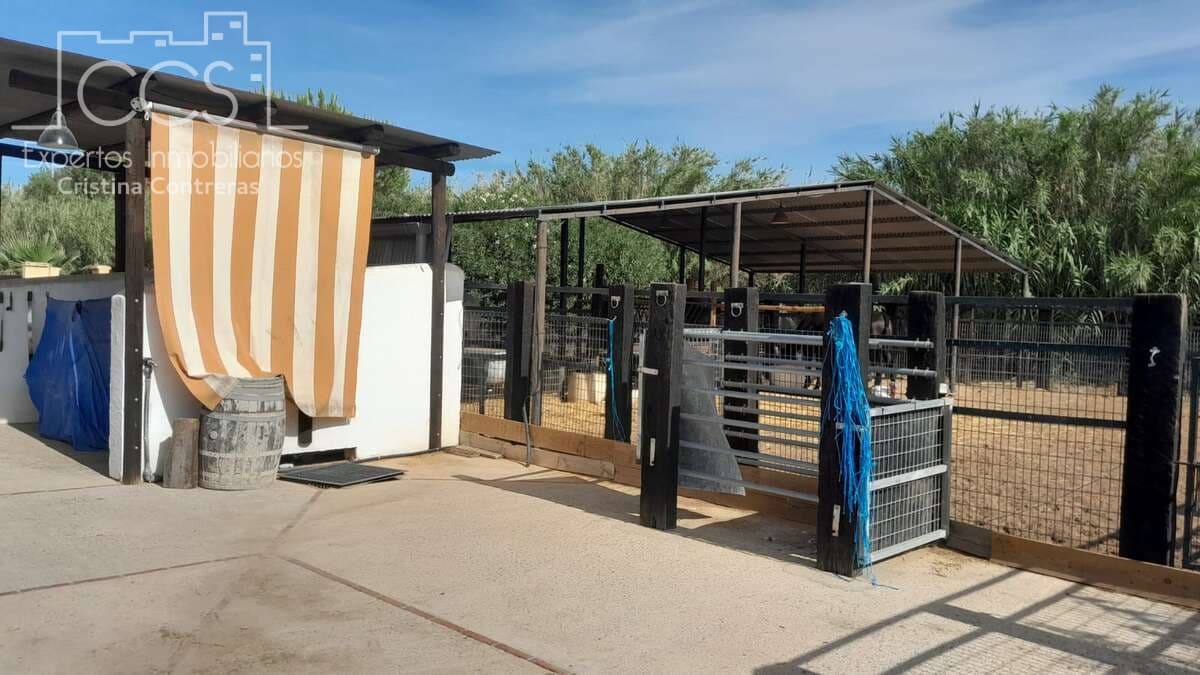 Finca/Herregård til salgs i Almonte - € 110 000 (Ref: 8062365)