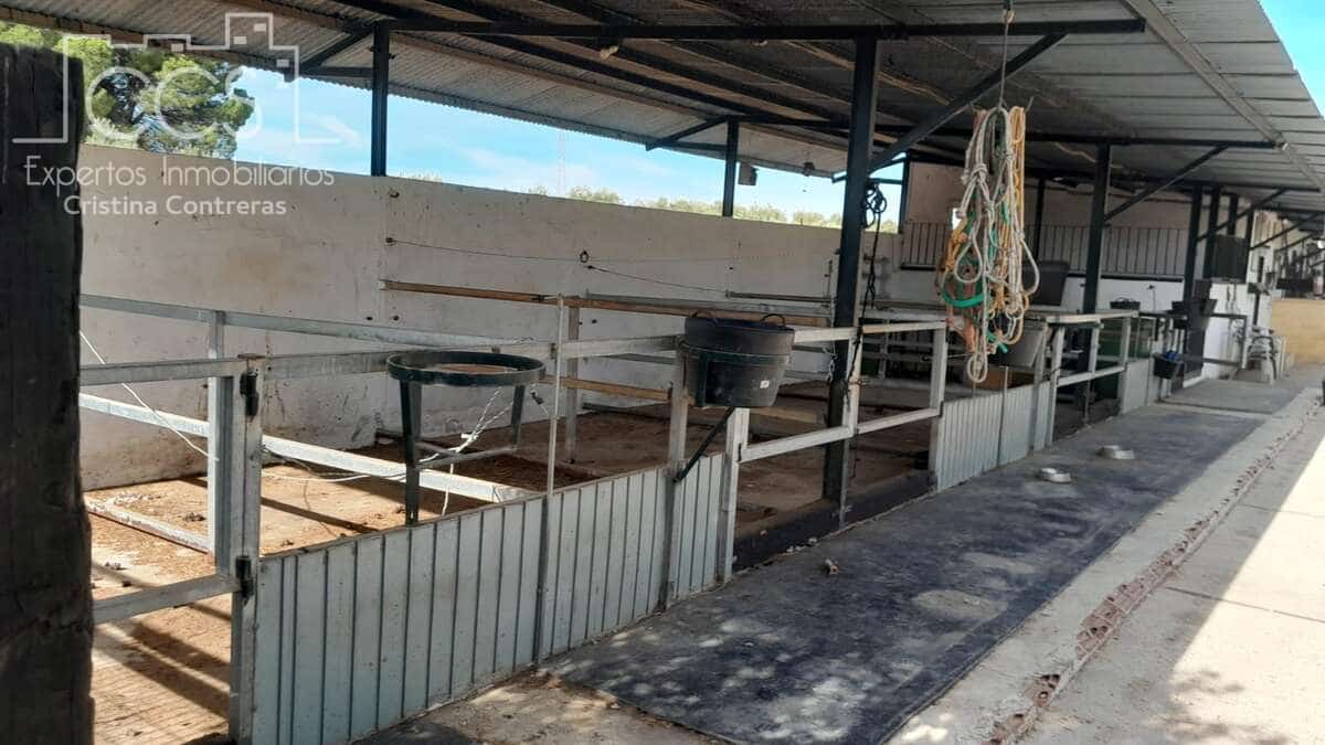 Finca/Herregård til salgs i Almonte - € 110 000 (Ref: 8062365)