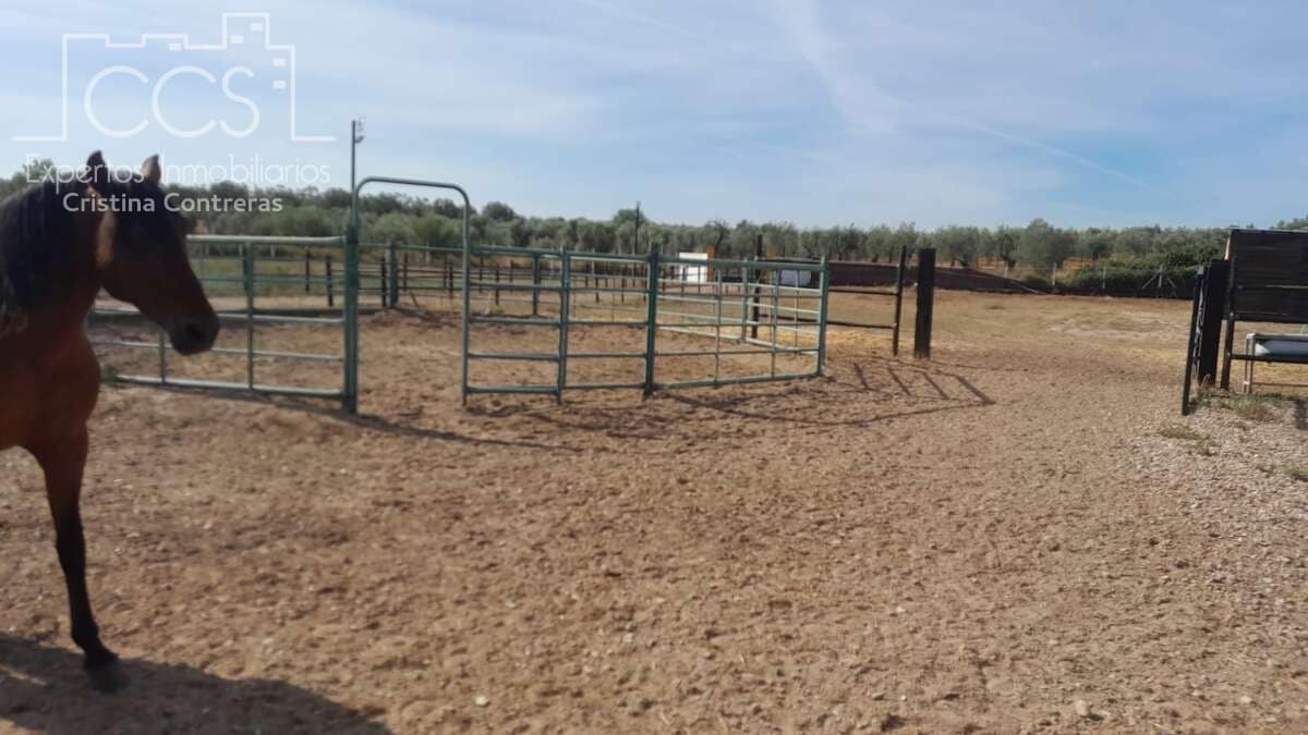 Finca/Herregård til salgs i Almonte - € 110 000 (Ref: 8062365)