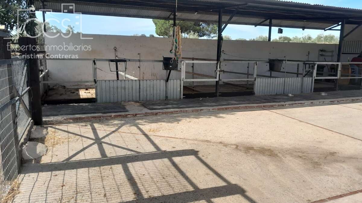 Finca/Herregård til salgs i Almonte - € 110 000 (Ref: 8062365)