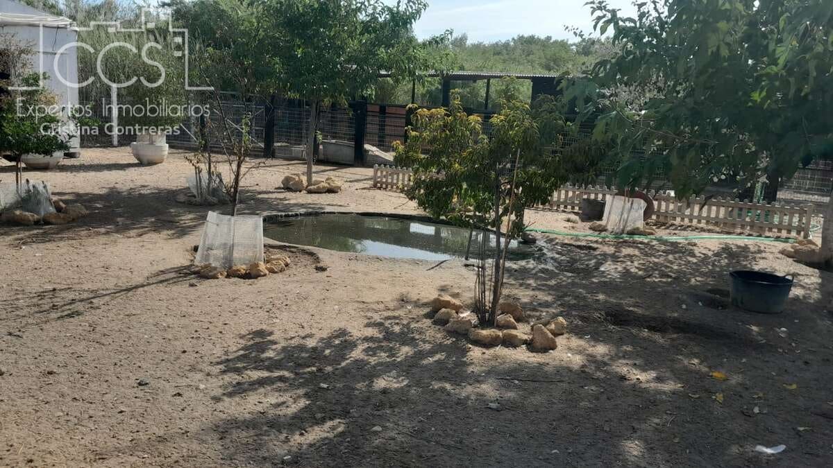 Finca/Herregård til salgs i Almonte - € 110 000 (Ref: 8062365)