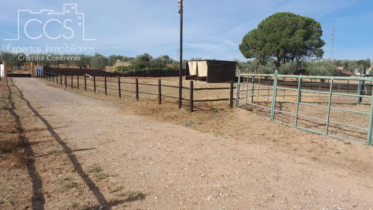 Finca/Herregård til salgs i Almonte - € 110 000 (Ref: 8062365)