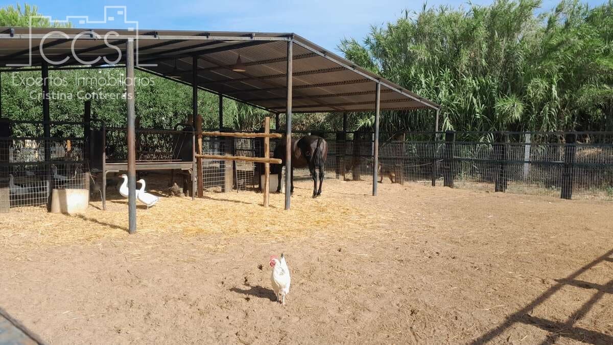 Finca/Herregård til salgs i Almonte - € 110 000 (Ref: 8062365)