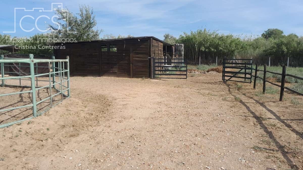 Finca/Herregård til salgs i Almonte - € 110 000 (Ref: 8062365)