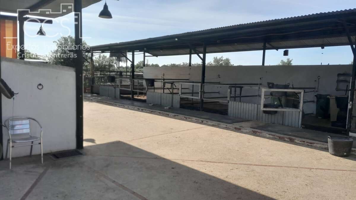 Finca/Herregård til salgs i Almonte - € 110 000 (Ref: 8062365)