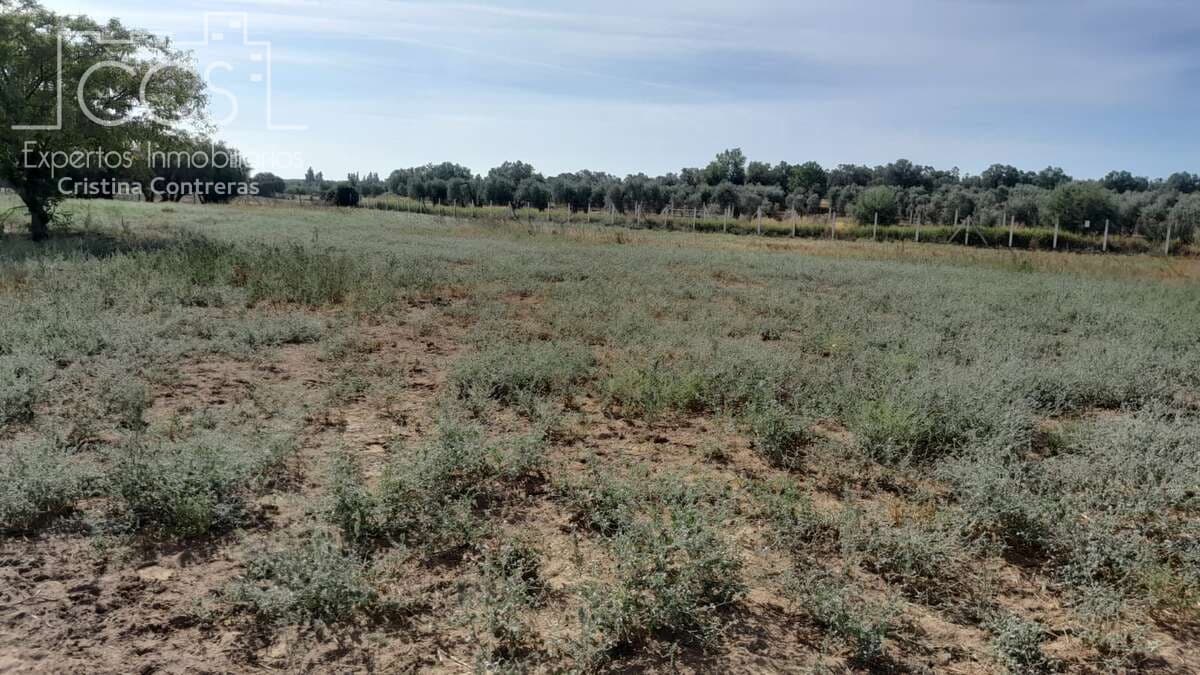 Finca/Herregård til salgs i Almonte - € 110 000 (Ref: 8062365)