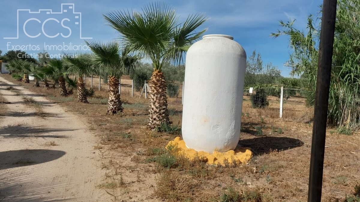 Finca/Herregård til salgs i Almonte - € 110 000 (Ref: 8062365)