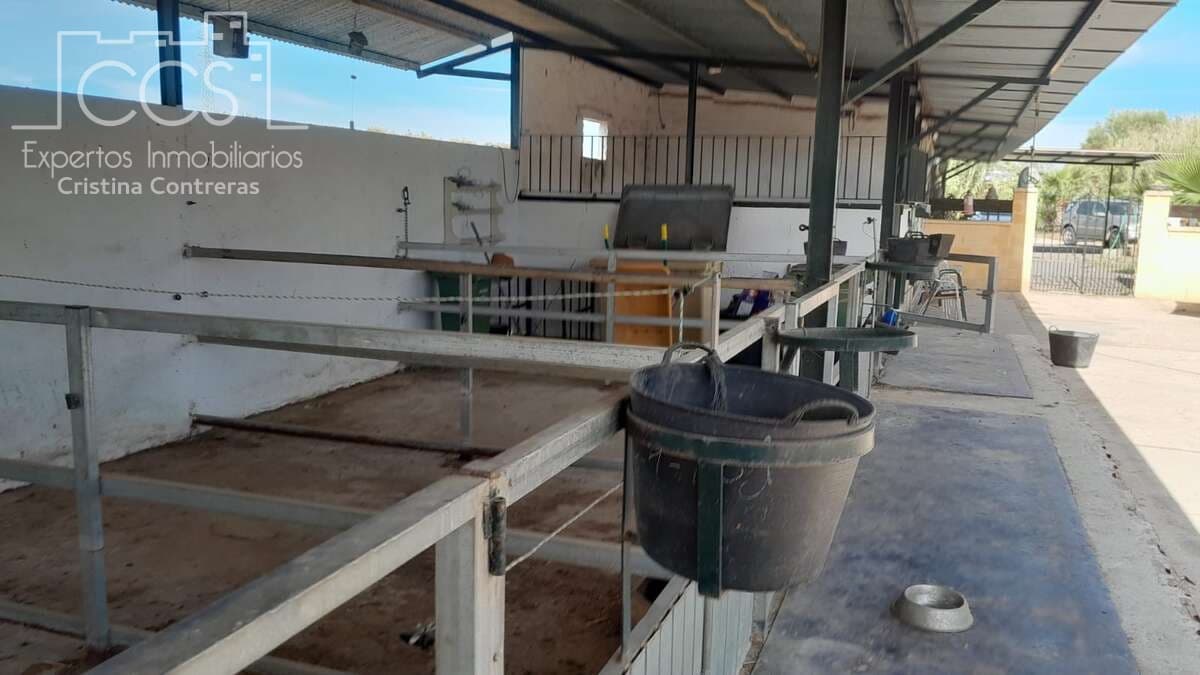 Finca/Herregård til salgs i Almonte - € 110 000 (Ref: 8062365)