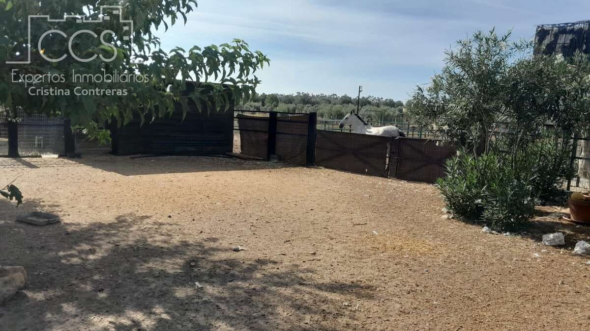 Finca/Herregård til salgs i Almonte - € 110 000 (Ref: 8062365)