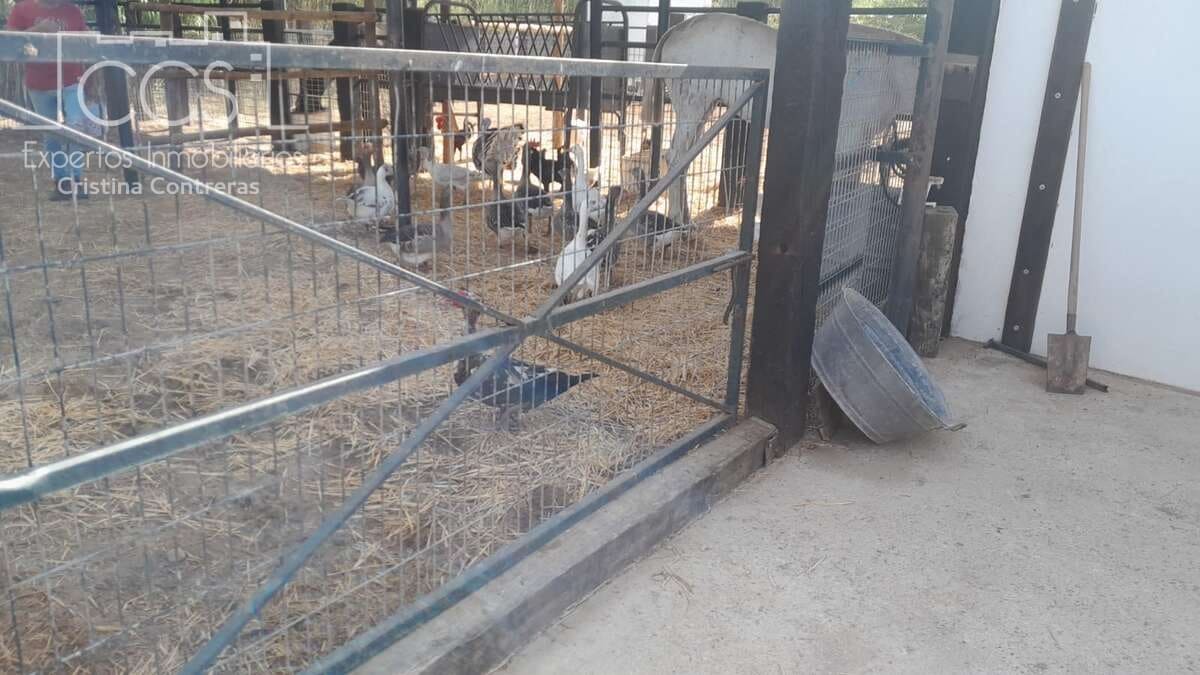 Finca/Herregård til salgs i Almonte - € 110 000 (Ref: 8062365)