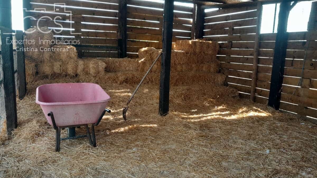 Finca/Herregård til salgs i Almonte - € 110 000 (Ref: 8062365)