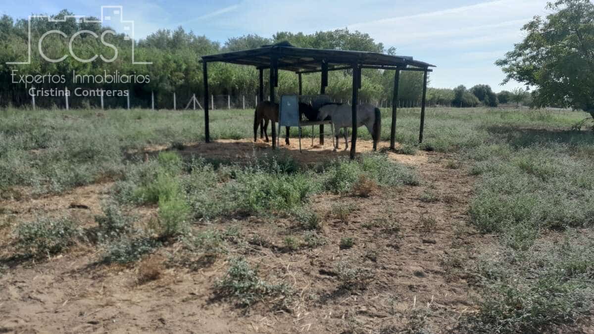 Finca/Country House for sale in Almonte - € 110,000 (Ref: 8062365)