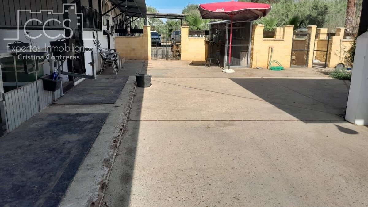 Finca/Country House for sale in Almonte - € 110,000 (Ref: 8062365)
