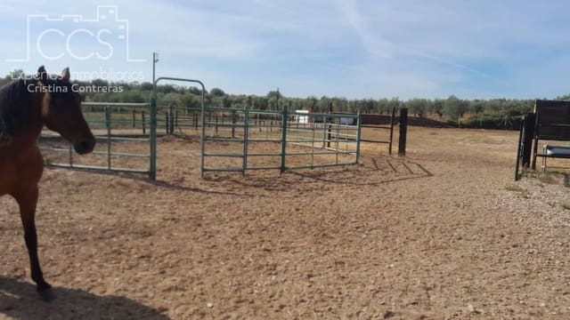 Finca/Landhuis te koop in Almonte - € 110.000 (Ref: 8062365)