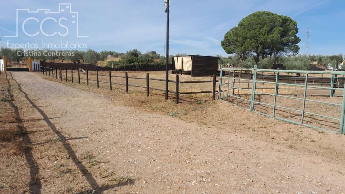 Finca/Country House for sale in Almonte - € 110,000 (Ref: 8062365)