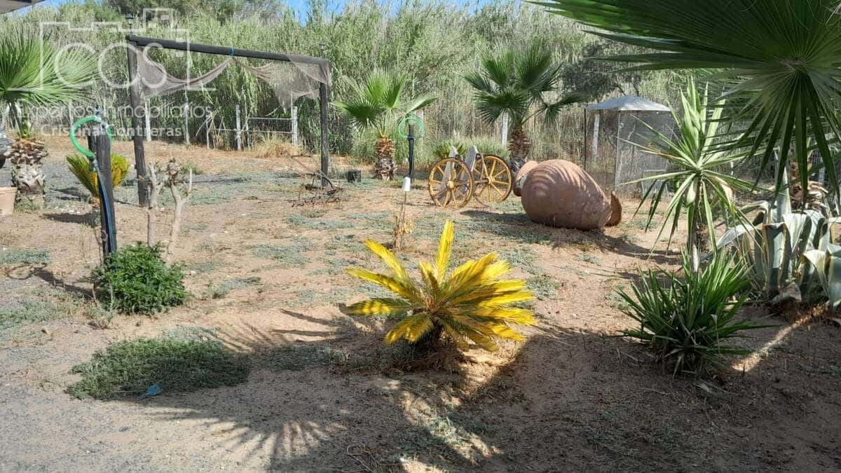 Finca/Country House for sale in Almonte - € 110,000 (Ref: 8062365)