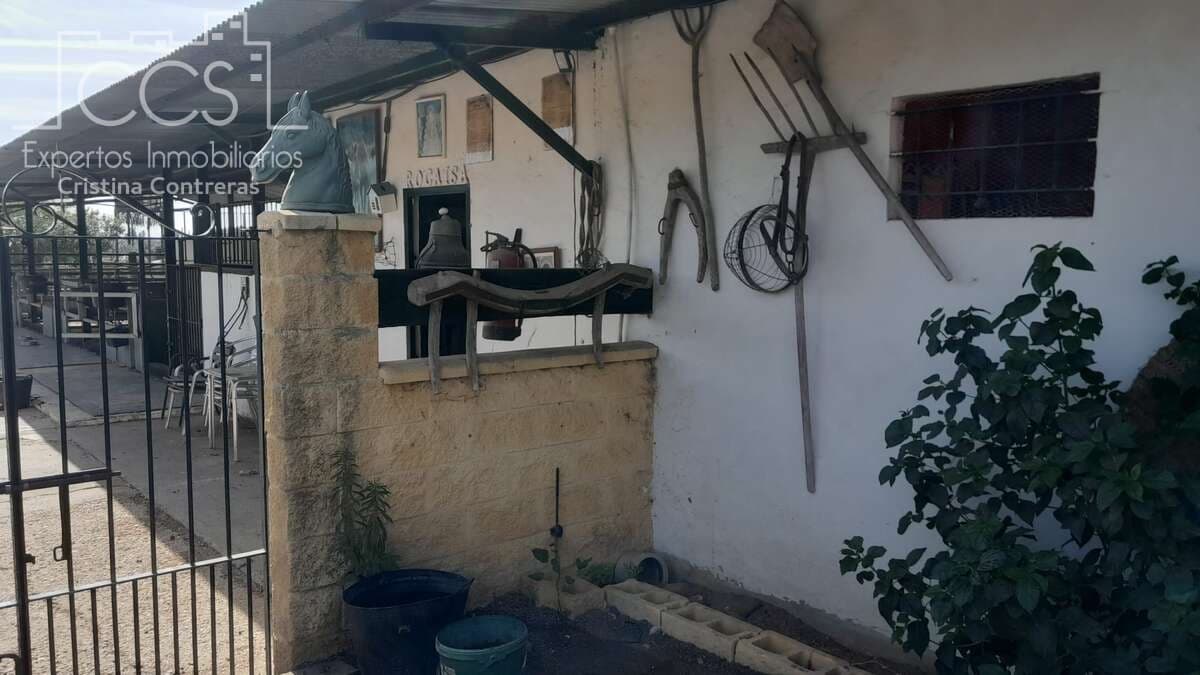 Finca/Country House for sale in Almonte - € 110,000 (Ref: 8062365)